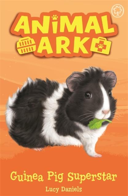 Animal Ark, New 7: Guinea Pig Superstar : Book 7 Popular Titles Hachette Children's Group