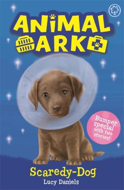 Animal Ark, New 2: Scaredy-Dog : Special 2 Popular Titles Hachette Children's Group