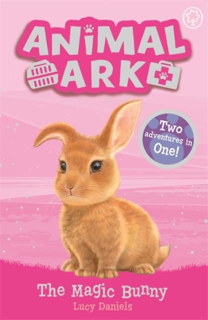 Animal Ark, New 4: The Magic Bunny : Special 4 Popular Titles Hachette Children's Group
