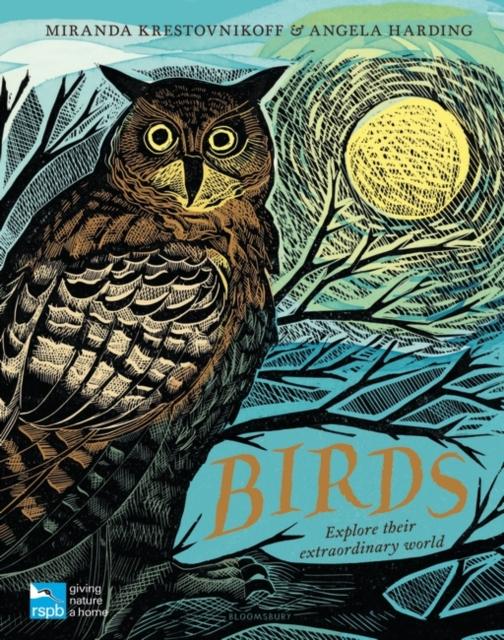 RSPB Birds : Explore their extraordinary world Popular Titles Bloomsbury Publishing PLC