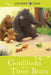 Ladybird Tales: Goldilocks and the Three Bears Popular Titles Penguin Random House Children's UK