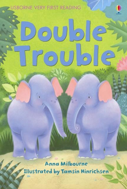 Double Trouble Popular Titles Usborne Publishing Ltd