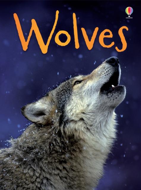 BEG Wolves Popular Titles Usborne Publishing Ltd