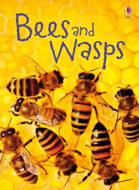 Bees and Wasps Popular Titles Usborne Publishing Ltd