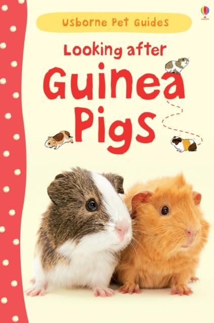 Looking After Guinea Pigs Popular Titles Usborne Publishing Ltd