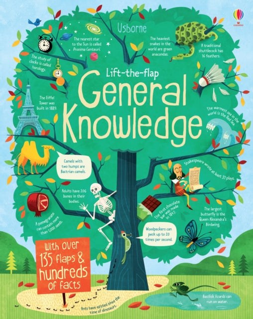 Lift-the-Flap General Knowledge by Alex Frith Extended Range Usborne Publishing Ltd