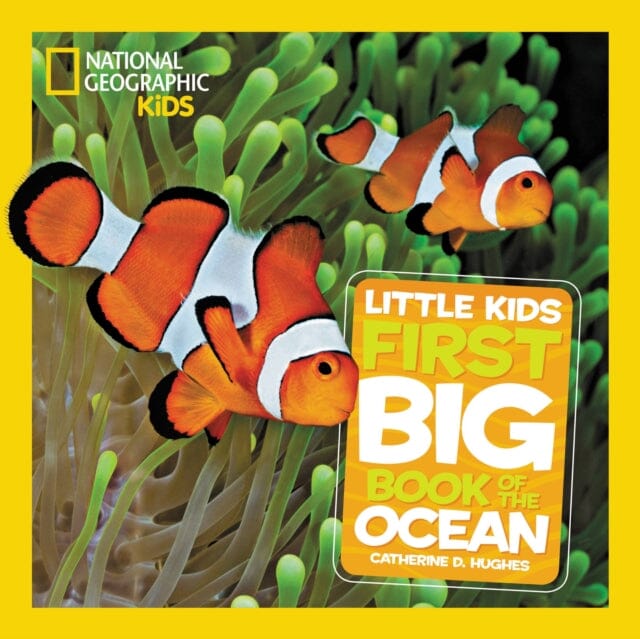 Little Kids First Big Book of The Ocean by Catherine D. Hughes Extended Range National Geographic Kids