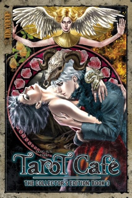 Tarot Cafe: The Collector's Edition, Volume 3 by Sang-Sun Park Extended Range Tokyopop Press Inc