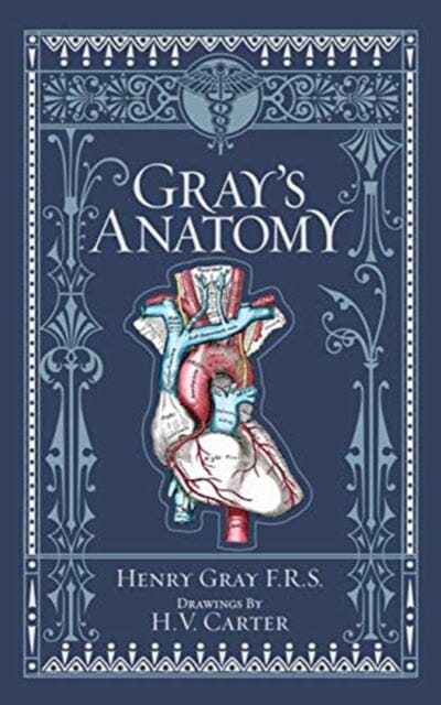 Gray's Anatomy (Barnes & Noble Collectible Editions) by Henry Gray Extended Range Sterling Juvenile