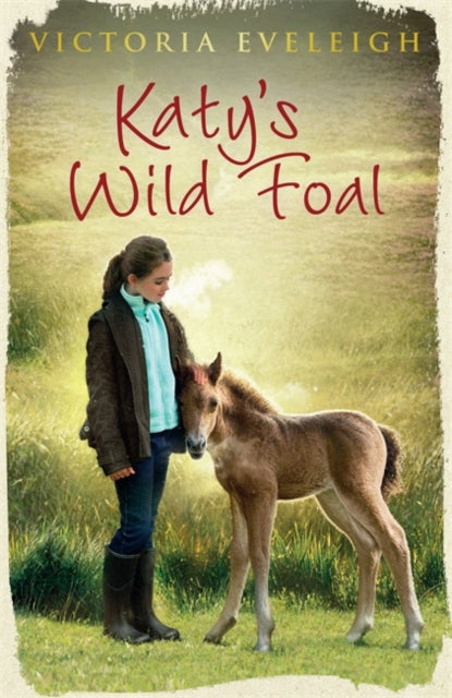 Katy's Exmoor Ponies (Katy's Wild Foal 1) by Victoria Eveleigh Extended Range Hachette Children's Group