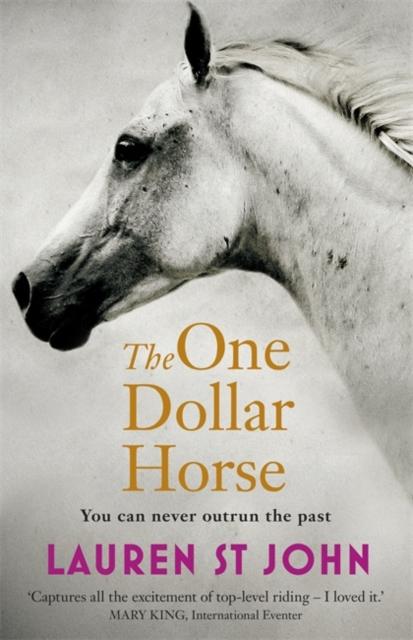 The One Dollar Horse : Book 1 Popular Titles Hachette Children's Group