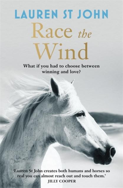 The One Dollar Horse: Race the Wind : Book 2 Popular Titles Hachette Children's Group