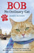 Bob : No Ordinary Cat Popular Titles Hodder & Stoughton