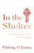 In the Shelter: Finding a Home in the World by Padraig O Tuama Extended Range John Murray Press