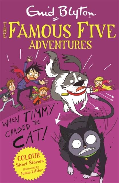 Famous Five Colour Short Stories: When Timmy Chased the Cat Popular Titles Hachette Children's Group