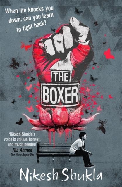 The Boxer Popular Titles Hachette Children's Group