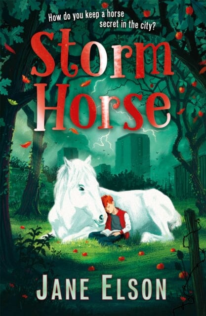Storm Horse by Jane Elson Extended Range Hachette Children's Group