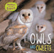 Animals and their Babies: Owls & Owlets Popular Titles Hachette Children's Group