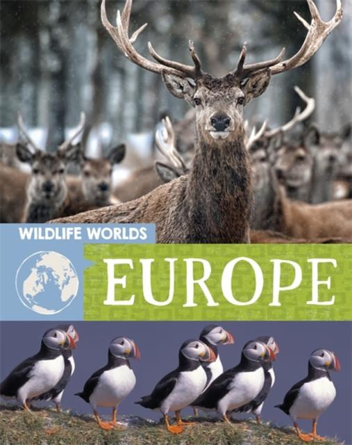 Wildlife Worlds: Europe Popular Titles Hachette Children's Group