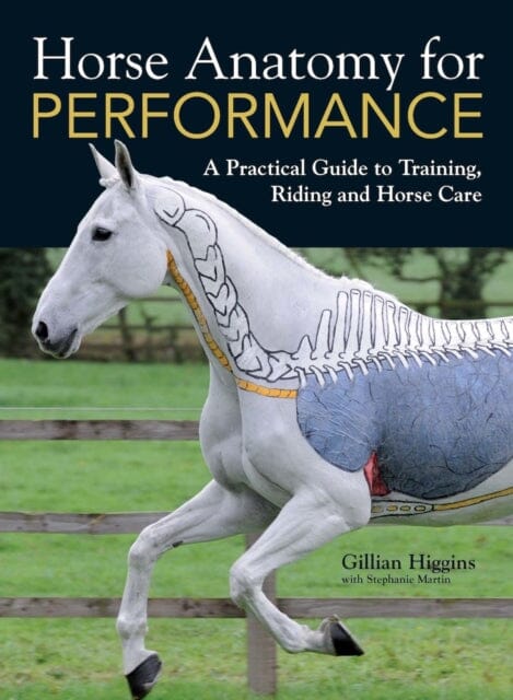 Horse Anatomy for Performance: A Practical Guide to Training, Riding and Horse Care by Gillian Higgins Extended Range David & Charles