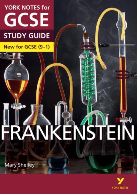 Frankenstein: York Notes for GCSE (9-1) Popular Titles Pearson Education Limited