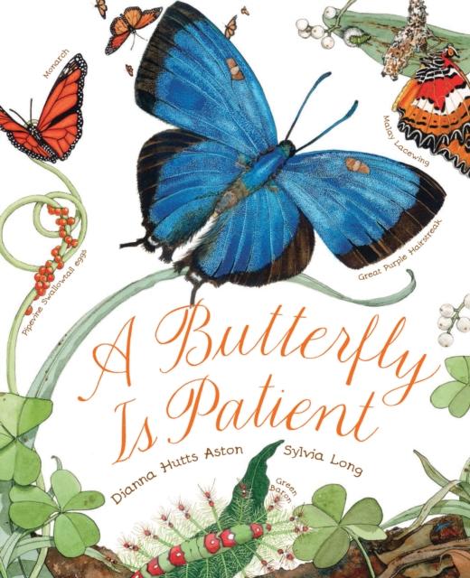 A Butterfly Is Patient Popular Titles Chronicle Books