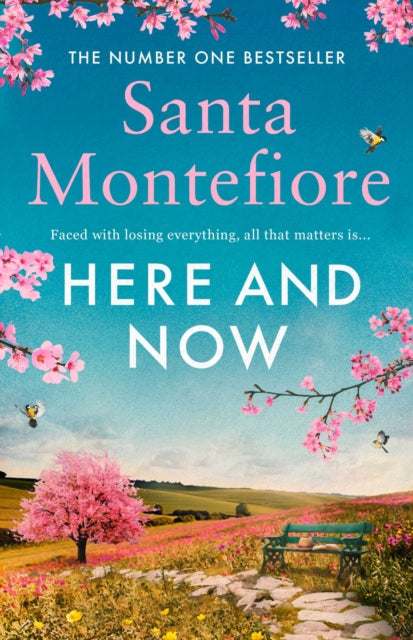 Here and Now by Santa Montefiore Extended Range Simon & Schuster Ltd