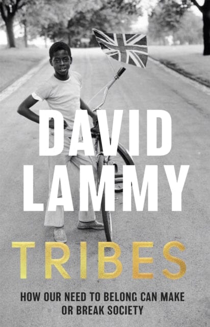 Tribes: A Search for Belonging in a Divided Society by David Lammy Extended Range Little Brown Book Group