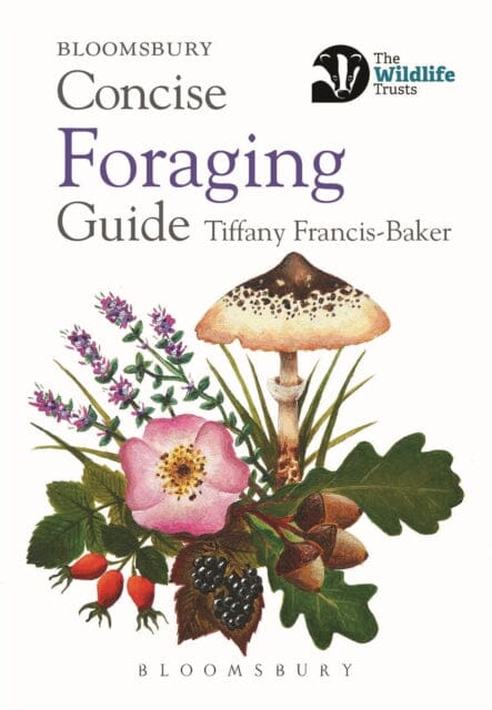 Concise Foraging Guide by Tiffany Francis-Baker Extended Range Bloomsbury Publishing PLC