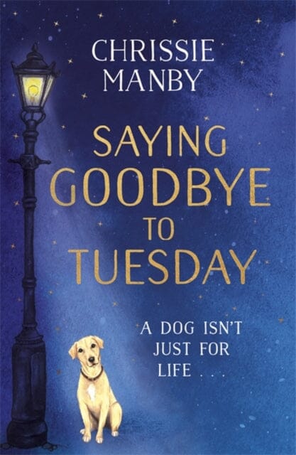 Saying Goodbye to Tuesday by Chrissie Manby Extended Range Hodder & Stoughton