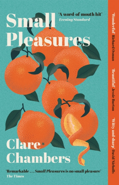 Small Pleasures by Clare Chambers Extended Range Orion Publishing Co