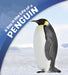 A Day in the Life of a Penguin Popular Titles Capstone Global Library Ltd