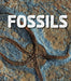 Fossils Popular Titles Capstone Global Library Ltd