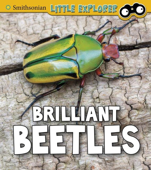 Brilliant Beetles Popular Titles Capstone Global Library Ltd