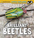 Brilliant Beetles Popular Titles Capstone Global Library Ltd