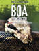 Boa Constrictor : Killer King of the Jungle Popular Titles Capstone Global Library Ltd