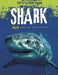 Shark : Killer King of the Ocean Popular Titles Capstone Global Library Ltd