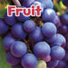 Fruit Popular Titles Capstone Global Library Ltd