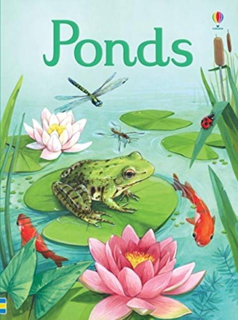 Ponds Popular Titles Usborne Publishing Ltd