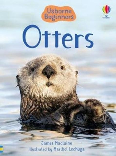 Otters Popular Titles Usborne Publishing Ltd