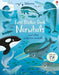First Sticker Book Narwhals Popular Titles Usborne Publishing Ltd