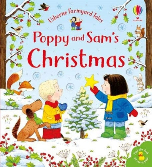 Poppy and Sam's Christmas by Sam Taplin Extended Range Usborne Publishing Ltd