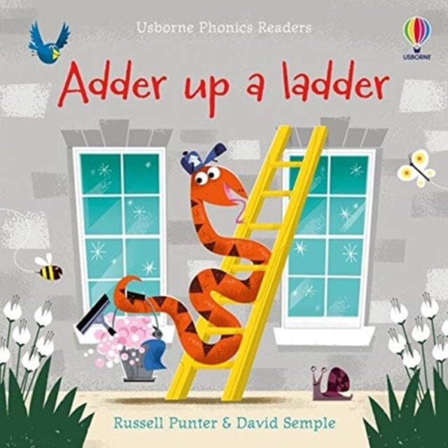 Adder up a ladder by Russell Punter Extended Range Usborne Publishing Ltd