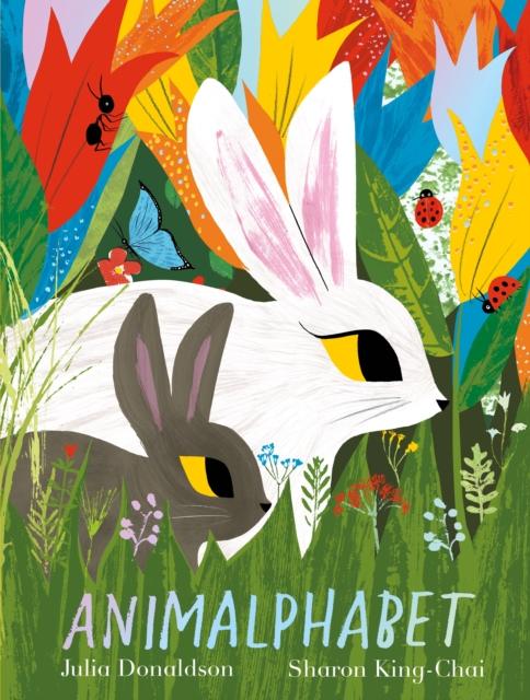 Animalphabet Popular Titles Pan Macmillan