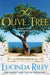 The Olive Tree by Lucinda Riley Extended Range Pan Macmillan