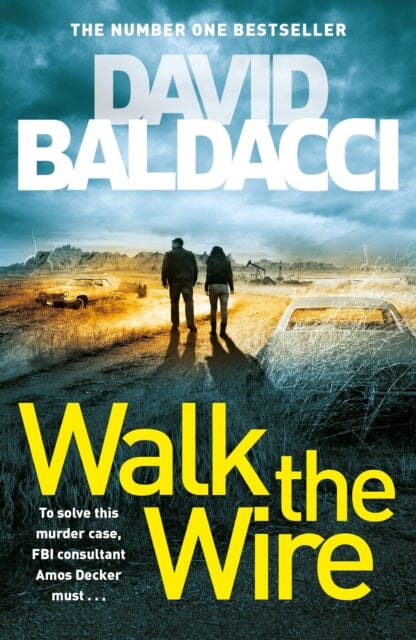 Walk the Wire by David Baldacci Extended Range Pan Macmillan