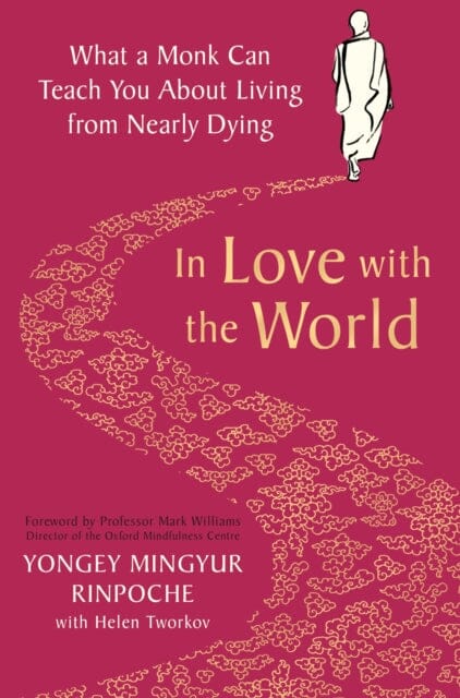 In Love with the World: What a Monk Can Teach You About Living from Nearly Dying by Yongey Mingyur Rinpoche Extended Range Pan Macmillan