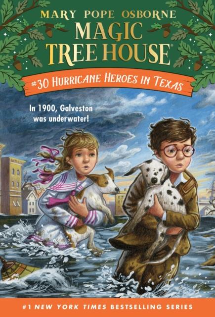 Hurricane Heroes in Texas Popular Titles Random House USA Inc