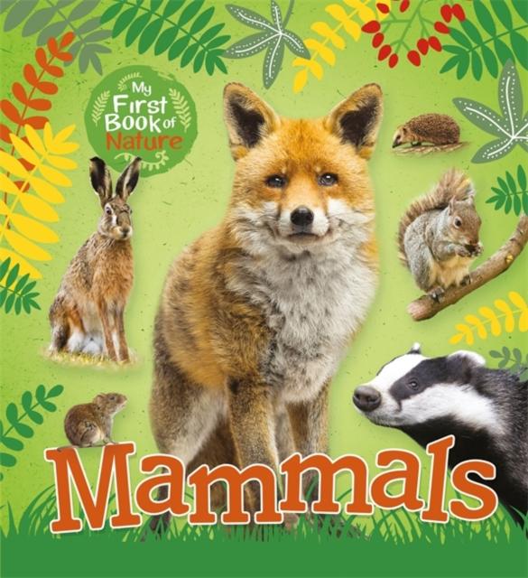 My First Book of Nature: Mammals Popular Titles Hachette Children's Group