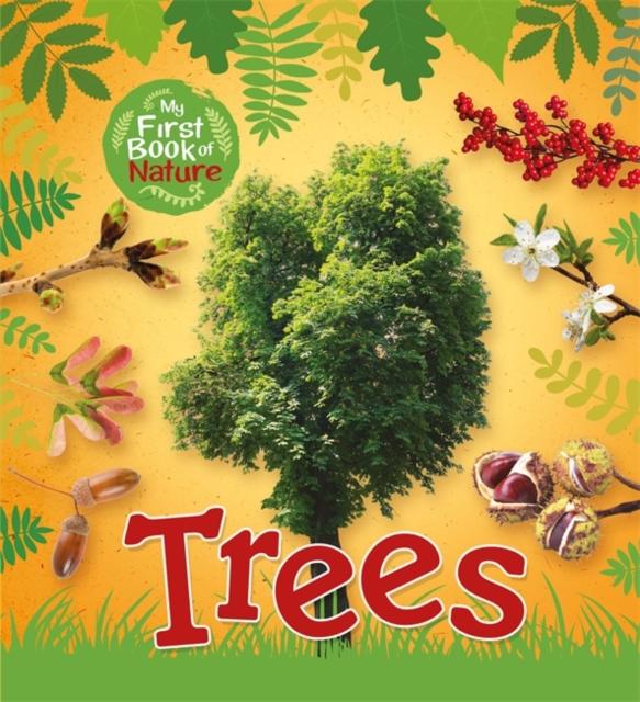 My First Book of Nature: Trees Popular Titles Hachette Children's Group